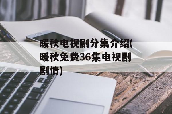 暖秋电视剧分集介绍(暖秋免费36集电视剧剧情)-第1张图片-