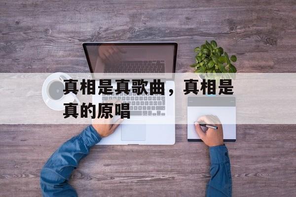 真相是真歌曲，真相是真的原唱-第1张图片-