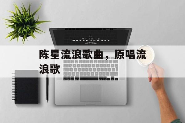 陈星流浪歌曲，原唱流浪歌-第1张图片-