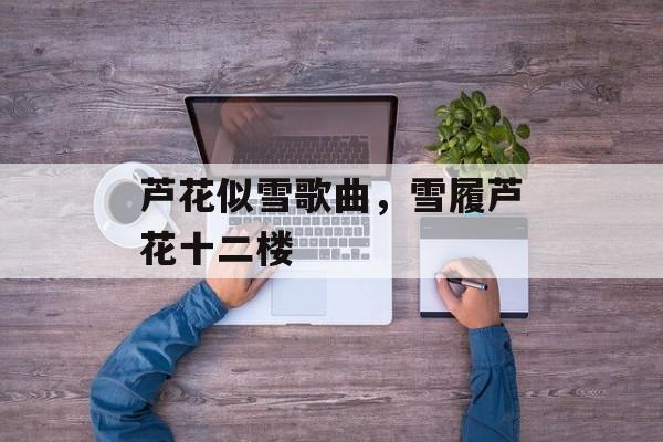 芦花似雪歌曲，雪履芦花十二楼-第1张图片-
