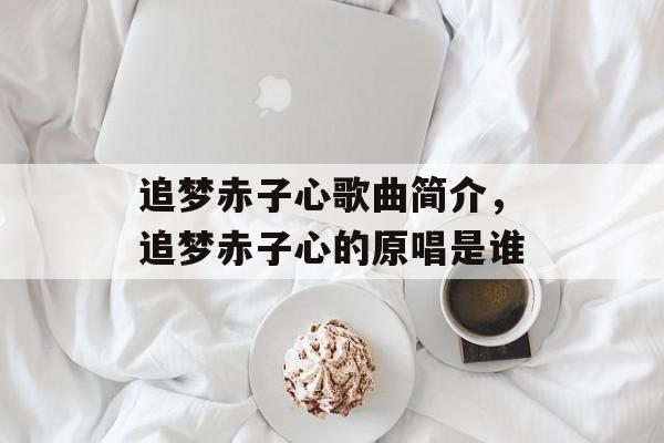 追梦赤子心歌曲简介，追梦赤子心的原唱是谁-第1张图片-