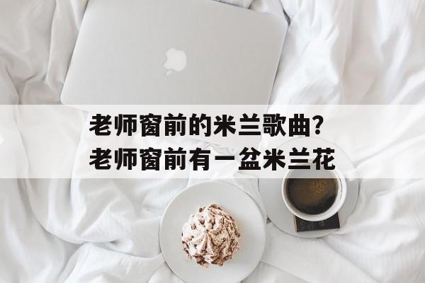 老师窗前的米兰歌曲？老师窗前有一盆米兰花-第1张图片-