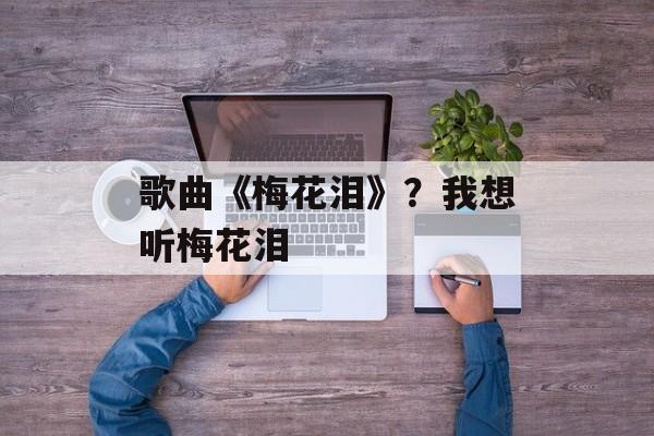 歌曲《梅花泪》？我想听梅花泪-第1张图片-