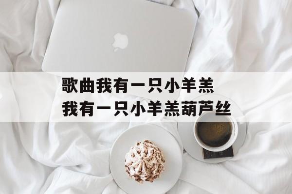 歌曲我有一只小羊羔 我有一只小羊羔葫芦丝-第1张图片-