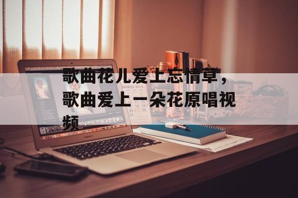 歌曲花儿爱上忘情草，歌曲爱上一朵花原唱视频-第1张图片-