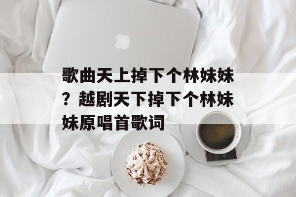 歌曲天上掉下个林妹妹？越剧天下掉下个林妹妹原唱首歌词-第1张图片-
