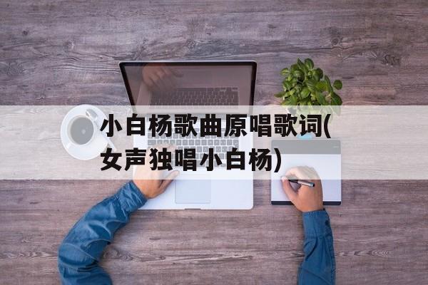 小白杨歌曲原唱歌词(女声独唱小白杨)-第1张图片-