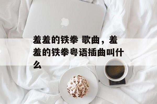 羞羞的铁拳 歌曲，羞羞的铁拳粤语插曲叫什么-第1张图片-