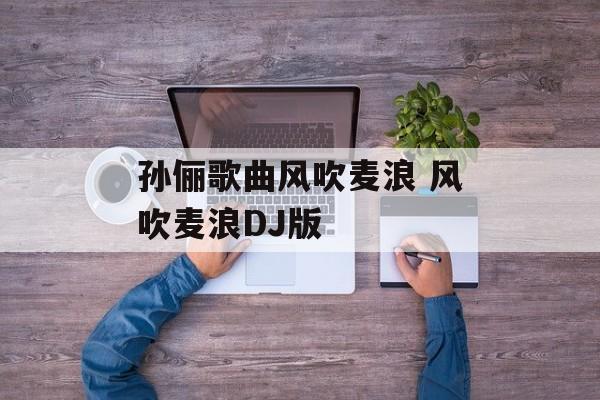 孙俪歌曲风吹麦浪 风吹麦浪DJ版-第1张图片-