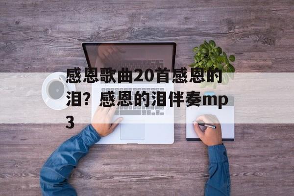 感恩歌曲20首感恩的泪？感恩的泪伴奏mp3-第1张图片-