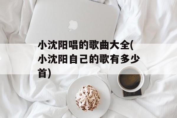 小沈阳唱的歌曲大全(小沈阳自己的歌有多少首)-第1张图片-