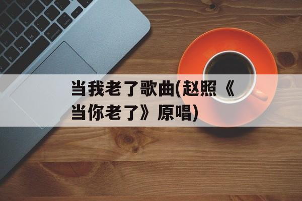 当我老了歌曲(赵照《当你老了》原唱)-第1张图片-