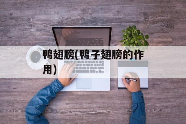 鸭翅膀(鸭子翅膀的作用)-第1张图片-