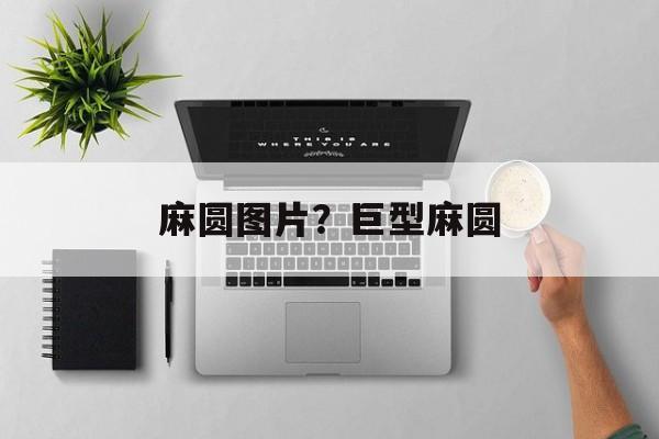 麻圆图片？巨型麻圆-第1张图片-