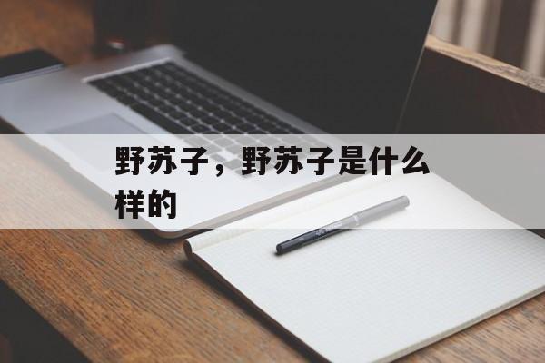 野苏子，野苏子是什么样的-第1张图片-