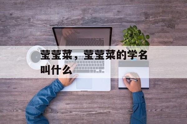 莹莹菜，莹莹菜的学名叫什么-第1张图片-