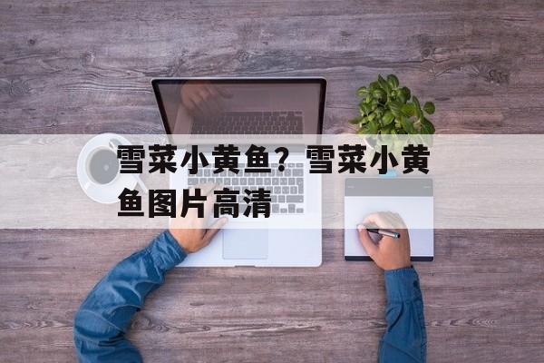 雪菜小黄鱼？雪菜小黄鱼图片高清-第1张图片-