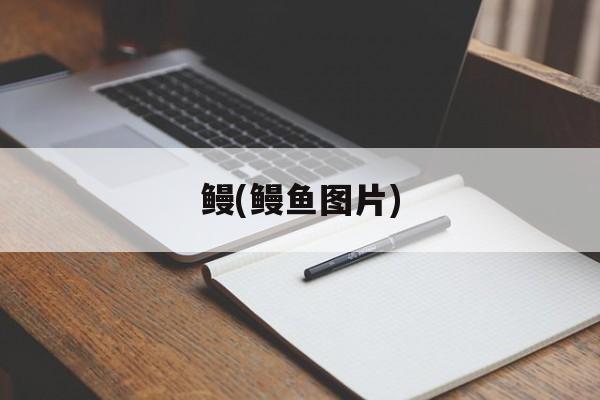 鳗(鳗鱼图片)-第1张图片-
