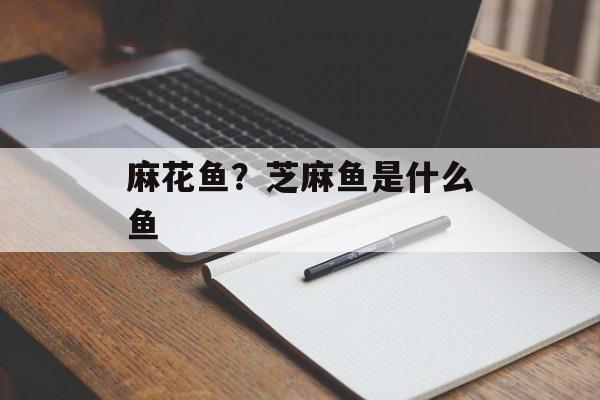 麻花鱼？芝麻鱼是什么鱼-第1张图片-