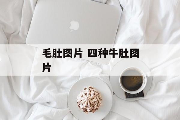 毛肚图片 四种牛肚图片-第1张图片-