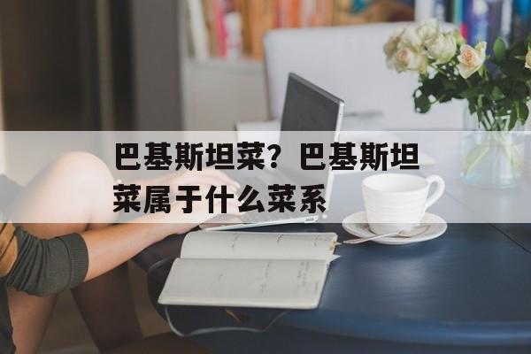 巴基斯坦菜？巴基斯坦菜属于什么菜系-第1张图片-