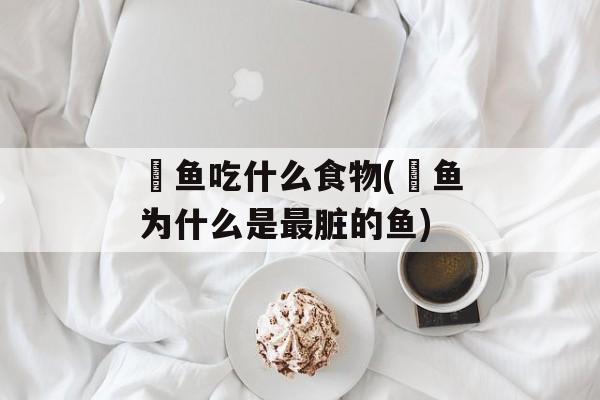 鮰鱼吃什么食物(鮰鱼为什么是最脏的鱼)-第1张图片-