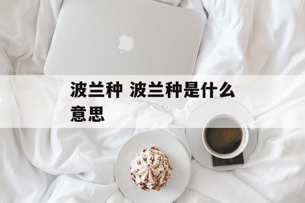 波兰种 波兰种是什么意思-第1张图片-