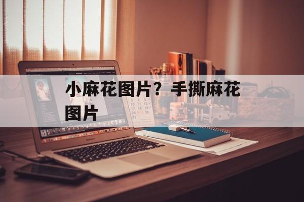 小麻花图片？手撕麻花图片-第1张图片-