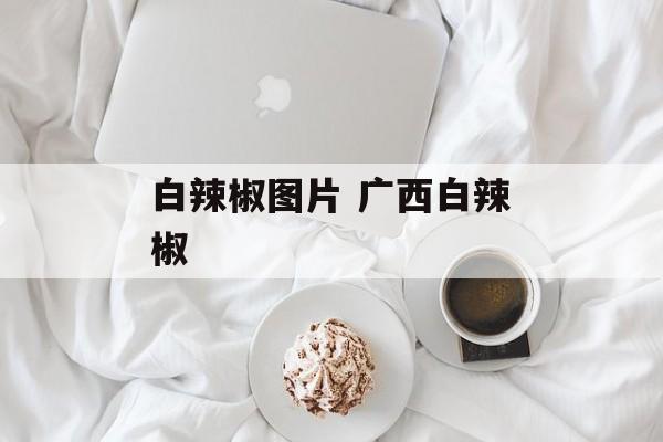 白辣椒图片 广西白辣椒-第1张图片-