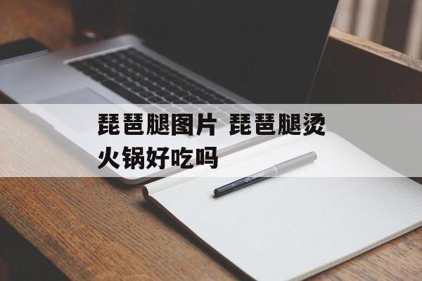 琵琶腿图片 琵琶腿烫火锅好吃吗-第1张图片-