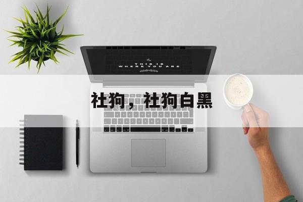 社狗，社狗白黑-第1张图片-