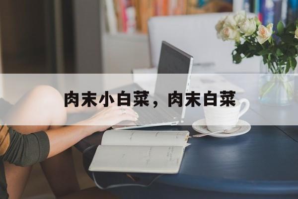 肉末小白菜，肉末白菜-第1张图片-