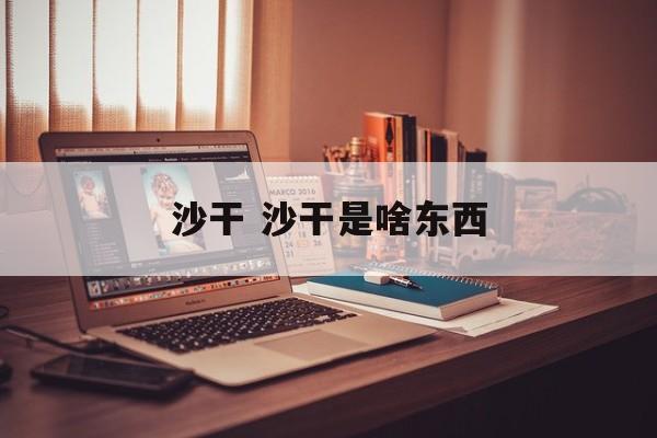 沙干 沙干是啥东西-第1张图片-