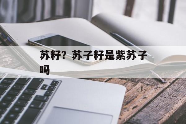 苏籽？苏子籽是紫苏子吗-第1张图片-
