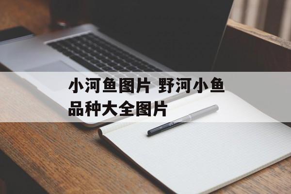小河鱼图片 野河小鱼品种大全图片-第1张图片-