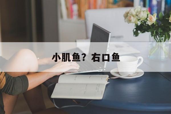 小肌鱼？右口鱼-第1张图片-