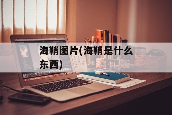 海鞘图片(海鞘是什么东西)-第1张图片-