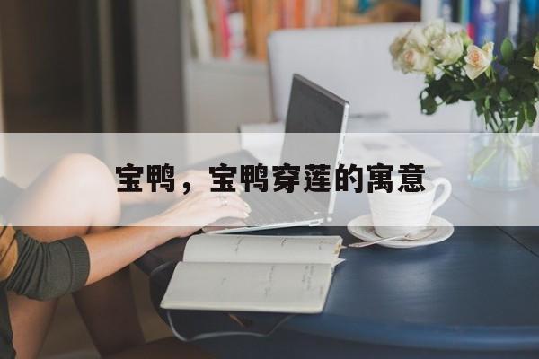 宝鸭，宝鸭穿莲的寓意-第1张图片-