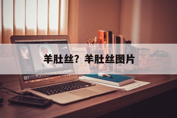 羊肚丝？羊肚丝图片-第1张图片-