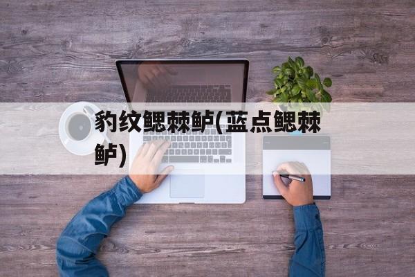 豹纹鳃棘鲈(蓝点鳃棘鲈)-第1张图片-