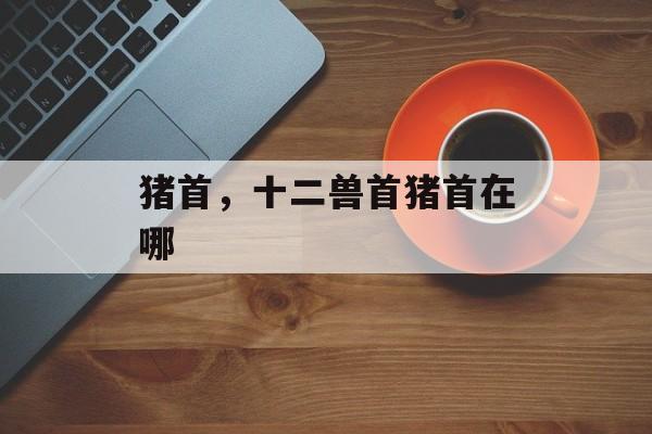 猪首，十二兽首猪首在哪-第1张图片-