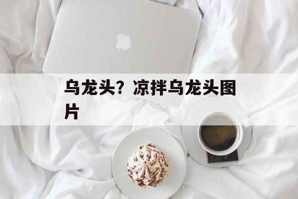 乌龙头？凉拌乌龙头图片-第1张图片-