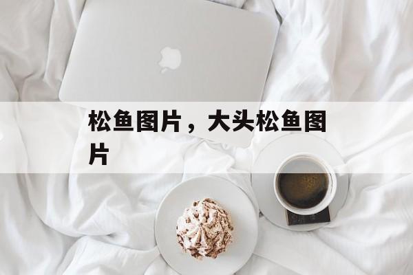 松鱼图片，大头松鱼图片-第1张图片-