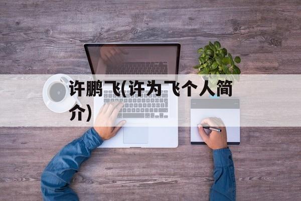 许鹏飞(许为飞个人简介)-第1张图片-