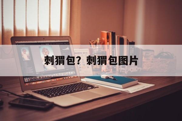 刺猬包？刺猬包图片-第1张图片-