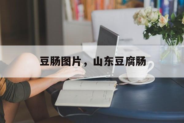 豆肠图片，山东豆腐肠-第1张图片-