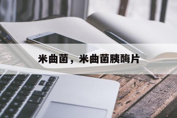 米曲菌，米曲菌胰酶片-第1张图片-