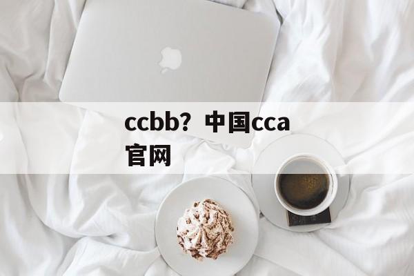 ccbb？中国cca官网-第1张图片-