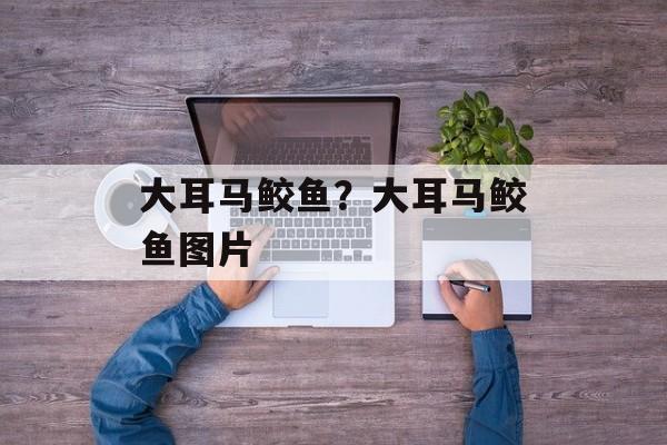 大耳马鲛鱼？大耳马鲛鱼图片-第1张图片-
