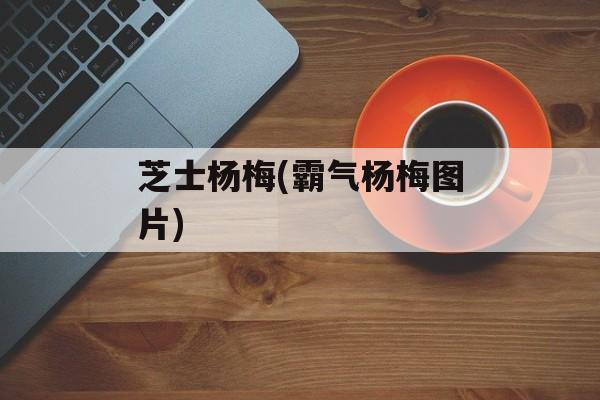芝士杨梅(霸气杨梅图片)-第1张图片-